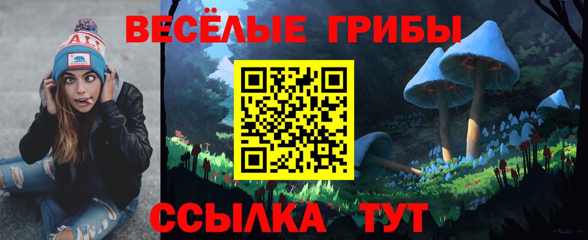 Псилоцибиновые грибы прущие грибы  Псилоцибиновые грибы Cubensis  Вход с VPN  Электрогорск 